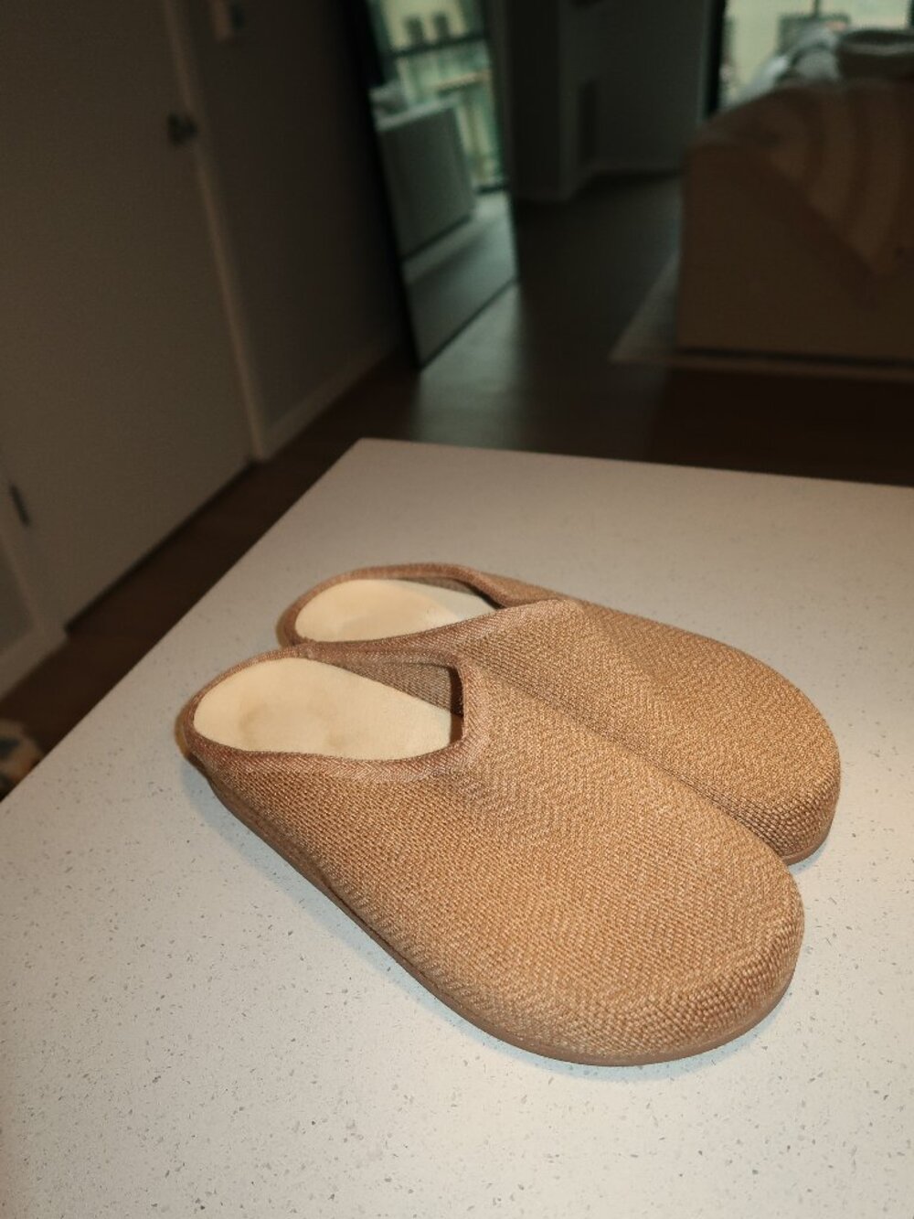 The Casual Clog Rothy's
